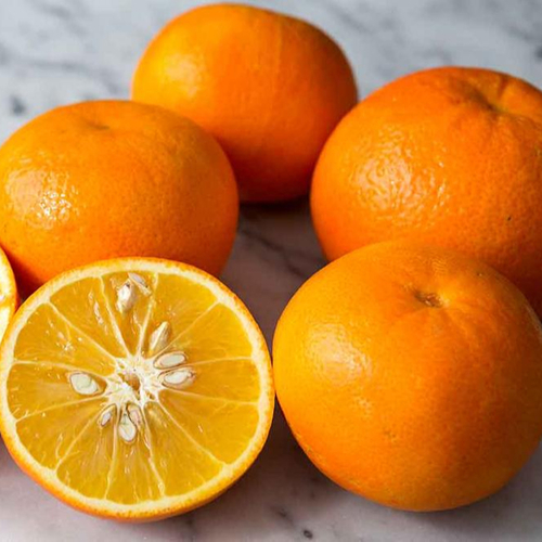 Pure and Fresh Orange Fruits