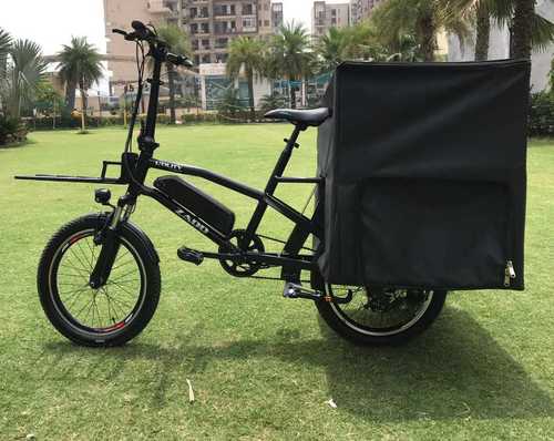 Electric Cycle with Gear