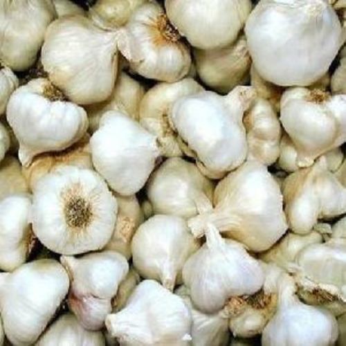 Healthy And Natural Fresh Garlic