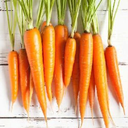 Healthy and Natural Fresh Orange Carrot