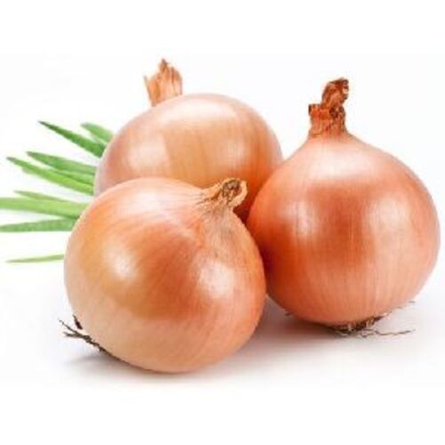 Healthy and Natural Fresh Shallots Onions