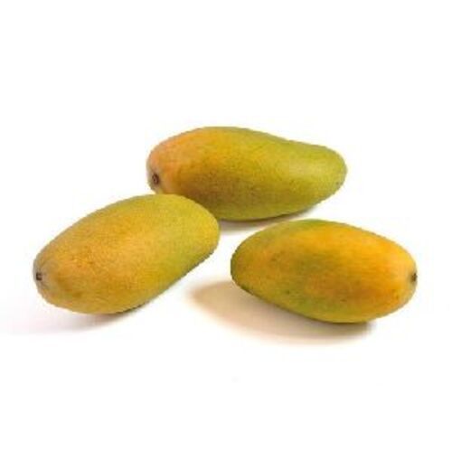 Healthy and Natural Fresh Dasheri Mango