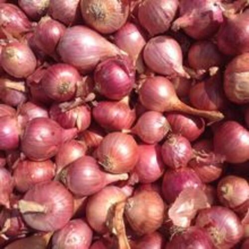 Healthy and Natural Fresh Nasik Onion