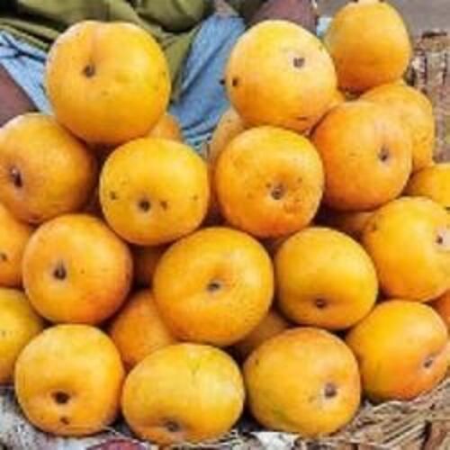 Healthy and Natural Fresh Rumani Mango