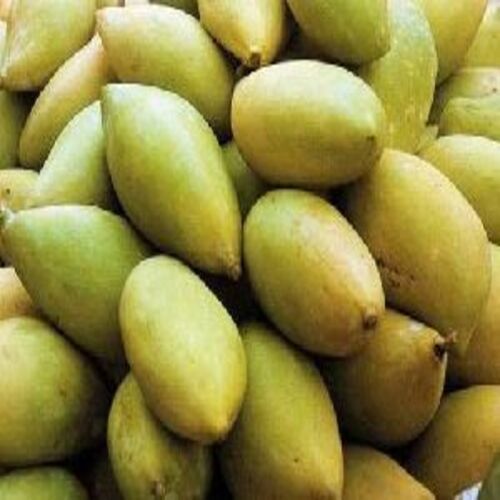 Organic Healthy And Natural Fresh Totapuri Mango