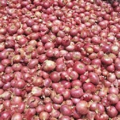 Healthy and Natural Nashik Onion