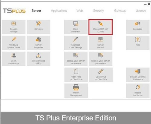 RDP TS PLUS Remote Desktop Software