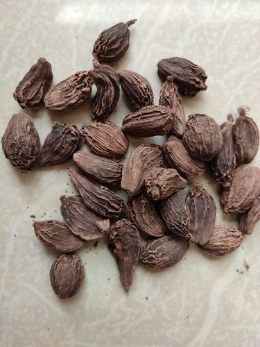 100% Organic Big Cardamom