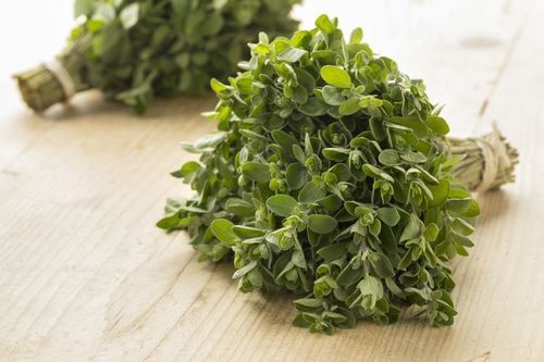 Aromatic Herb Marjoram Leaves