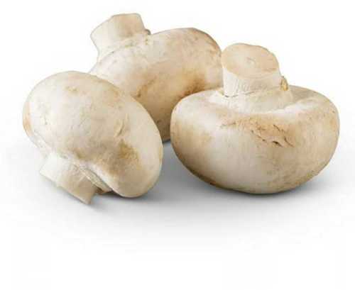 Organic Button Mushroom With Natural Taste