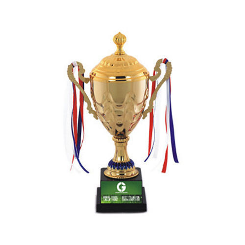 Eye Catching Look Metal Trophy