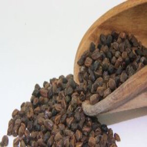 Healthy and Natural Cassia Seeds