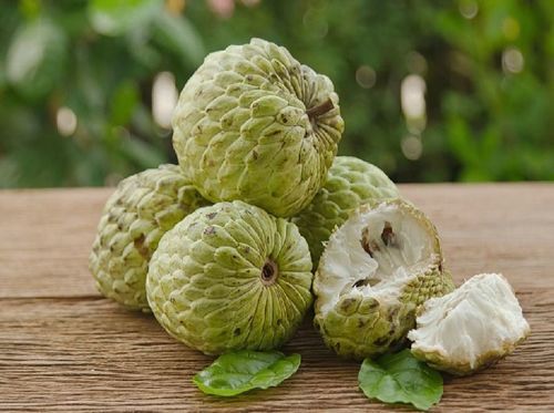 Healthy and Natural Fresh Custard Apple