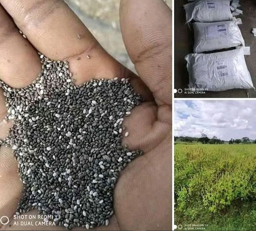 Black 100% Organic Chia Seeds