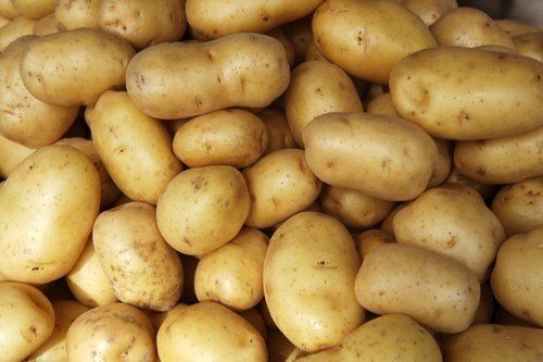 Fresh Potato - 77 Calories, 421 mg Potassium, 0.1 g Total Fat | Preserved, Raw Processing Form