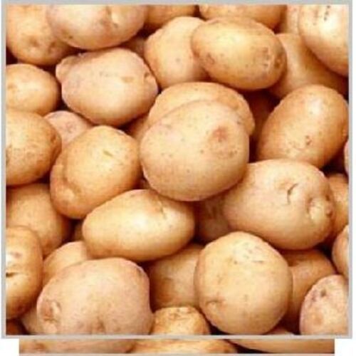 Healthy and Natural Chipsona 1 Potato