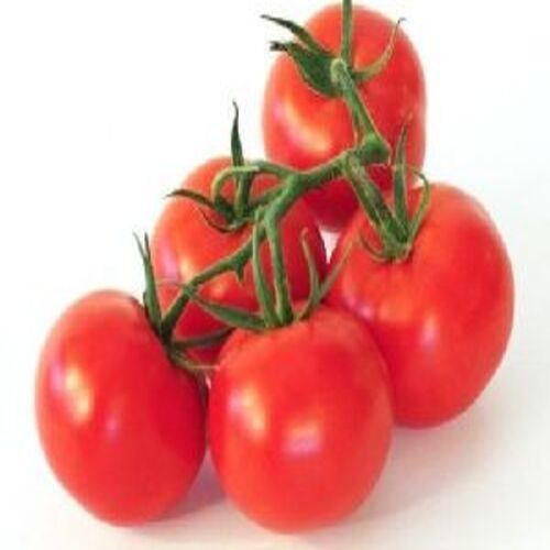 Round Healthy And Natural Fresh Tomato