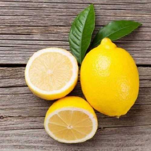 Round Fresh Quality Lemon