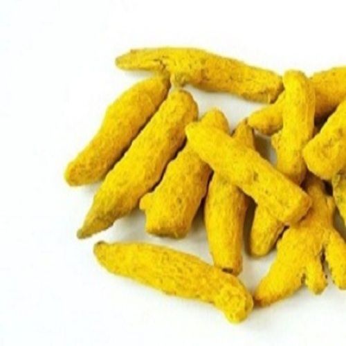 Yellow Healthy And Natural Organic Turmeric Finger