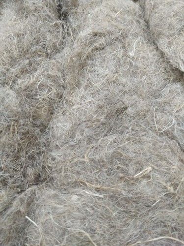 Hemp Natural Cottonised Fibre