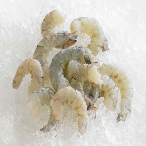 frozen shrimps