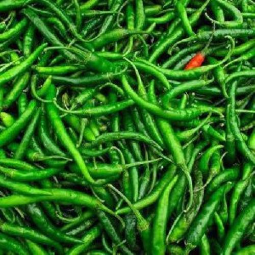 Healthy and Natural Fresh Green Chilli