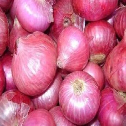 Round Healthy And Natural Fresh Pink Onion