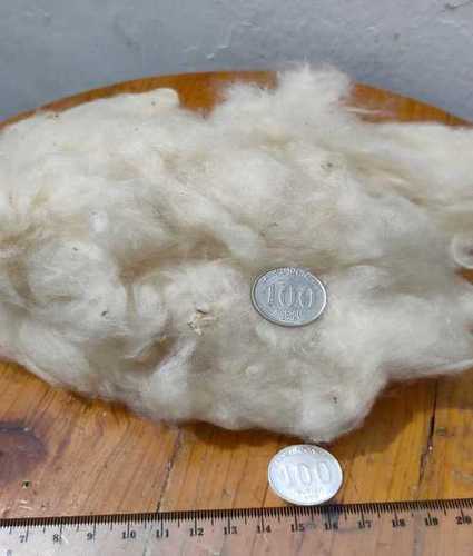 Kapok Fiber / Kapok Cotton