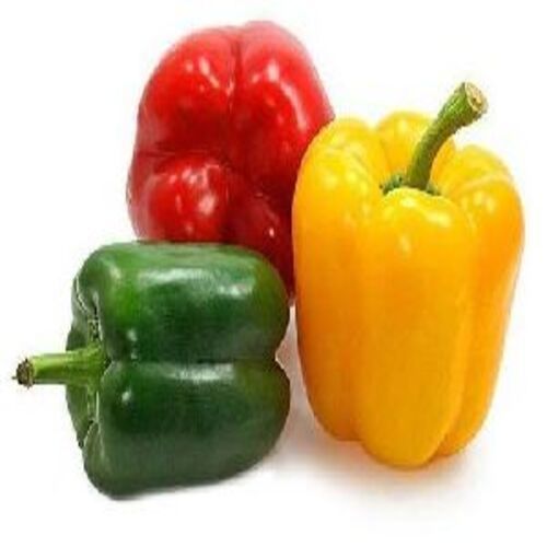 Healthy and Natural Fresh Capsicum