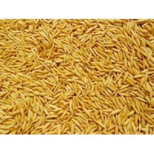 Healthy and Natural Paddy Rice