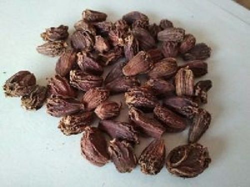 Dried Black Cardamom - Grade A, Black Color | Long Shelf Life, Easy to Digest, Hygienically Packed, Good for Health