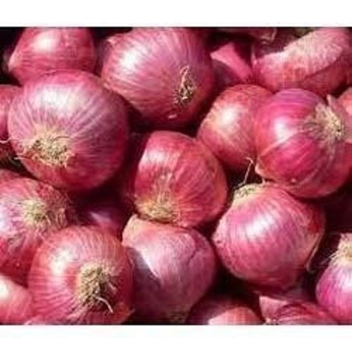Grade A Organic Red Onion