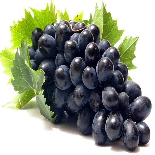 Healthy and Natural Fresh Black Grapes