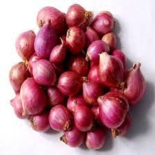 Healthy and Natural Fresh Small Onion