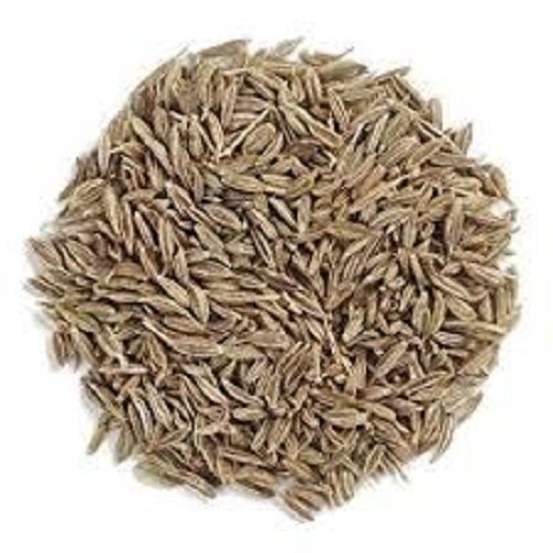 Light Brown Cumin Seeds Grade: A