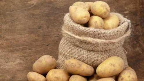 Vegetable Raw Potato