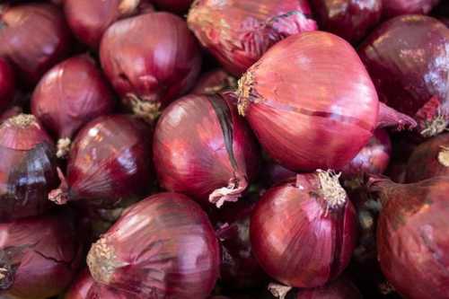 A Grade Fresh Pink Onion