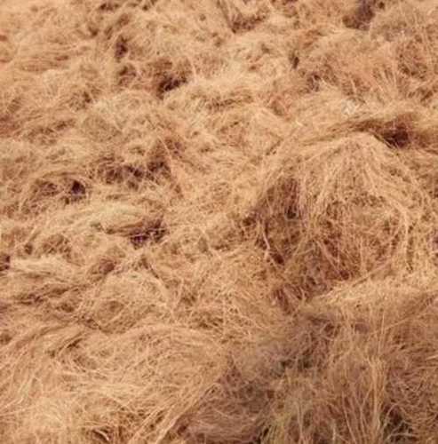 Brown Full Sun Exposure Vetiver Grass