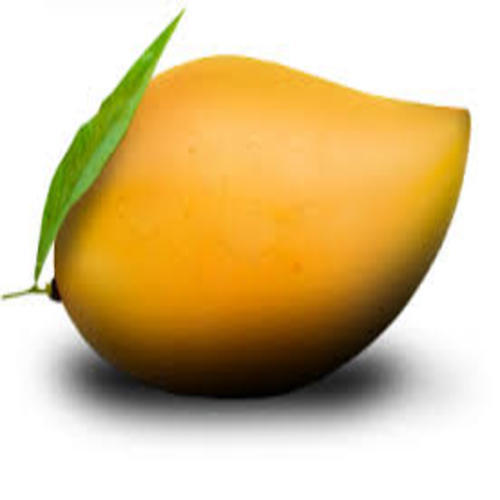 Healthy And Natural Fresh Totapuri Mango