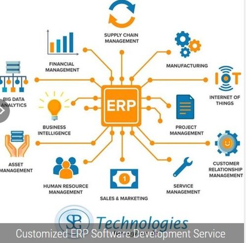 Customized ERP Software Development Service