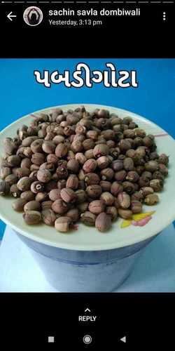 Fresh Quality Lotus Seeds