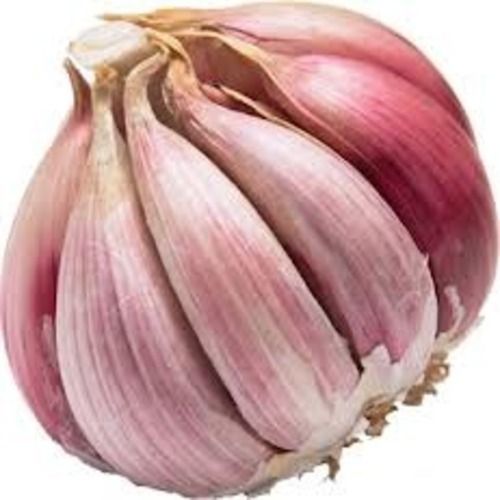 Healthy and Natural Fresh Bom Garlic