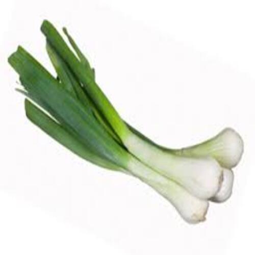 Fresh Organic Green Onion - Very Good Quality, Non-Harmful, Natural Taste, Food Grade, Cool and Dry Storage 