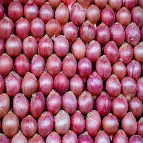 Round Healthy And Natural Fresh Red Onion