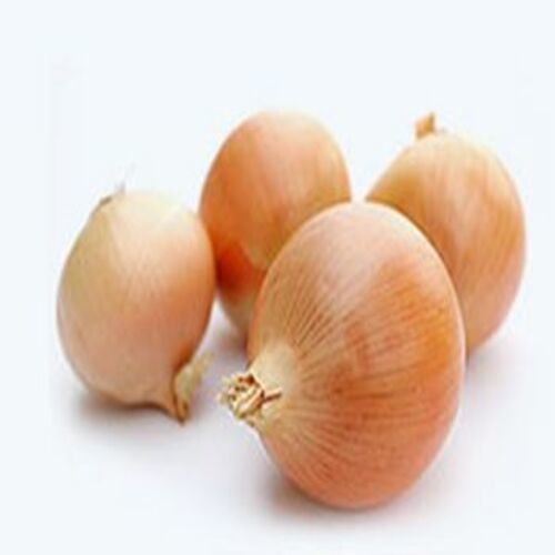 Round Healthy And Natural Fresh Yellow Onion