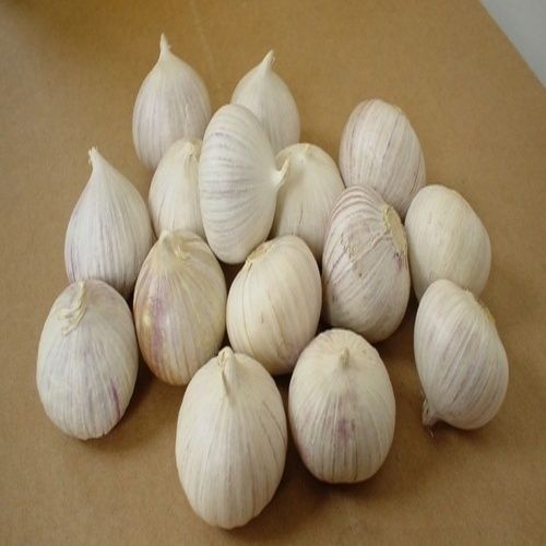 Healthy and Natural Medium Garlic