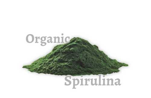 Herbal Organic Spirulina Powder
