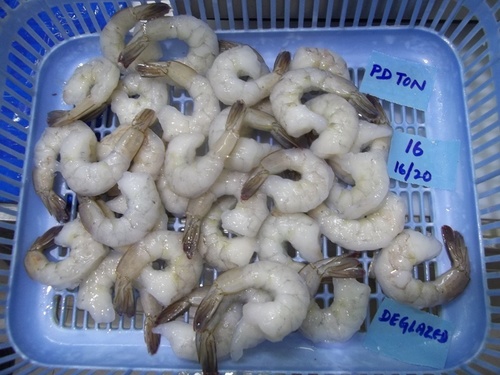 Superior Grade Frozen Vannamei Shrimp
