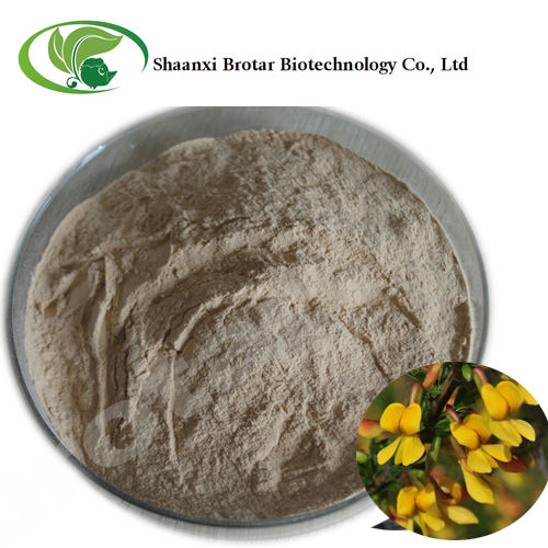 Herbal Product 98% Pure Organic Genistein Powder