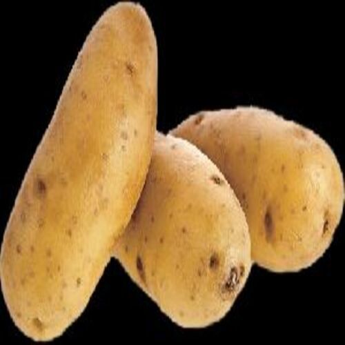 Healthy and Natural Fresh Chipsona Potato